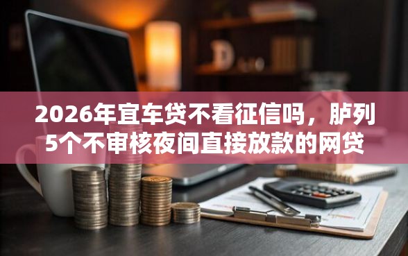 2026年宜车贷不看征信吗，胪列5个不审核夜间直接放款的网贷口子