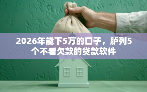2026年能下5万的口子，胪列5个不看欠款的贷款软件