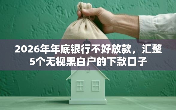 2026年年底银行不好放款，汇整5个无视黑白户的下款口子