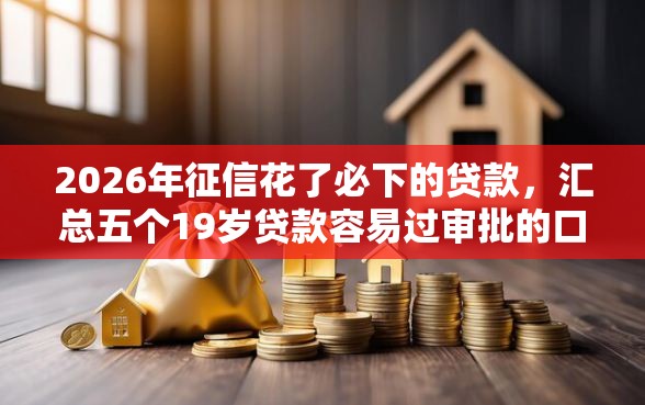 2026年征信花了必下的贷款，汇总五个19岁贷款容易过审批的口子