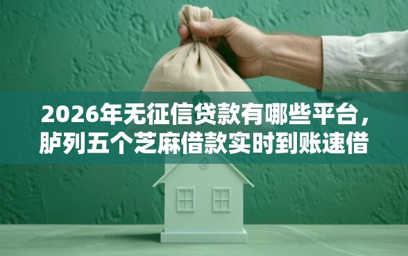 2026年无征信贷款有哪些平台，胪列五个芝麻借款实时到账速借平台