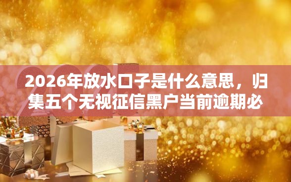 2026年放水口子是什么意思，归集五个无视征信黑户当前逾期必下款的口子
