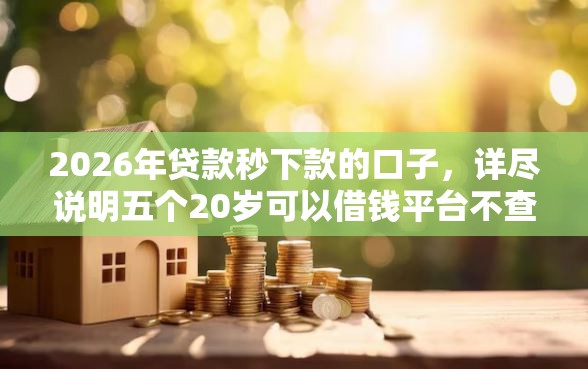 2026年贷款秒下款的口子，详尽说明五个20岁可以借钱平台不查征信的软件