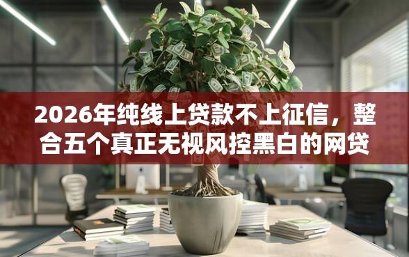 2026年纯线上贷款不上征信，整合五个真正无视风控黑白的网贷平台
