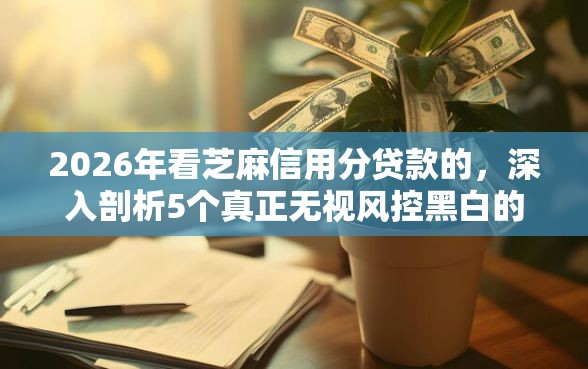 2026年看芝麻信用分贷款的，深入剖析5个真正无视风控黑白的网贷软件