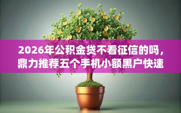 2026年公积金贷不看征信的吗，鼎力推荐五个手机小额黑户快速贷款app
