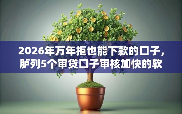 2026年万年拒也能下款的口子，胪列5个审贷口子审核加快的软件