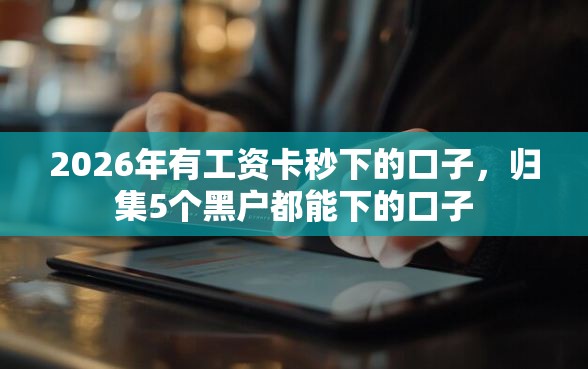 2026年有工资卡秒下的口子，归集5个黑户都能下的口子