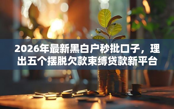 2026年最新黑白户秒批口子，理出五个摆脱欠款束缚贷款新平台