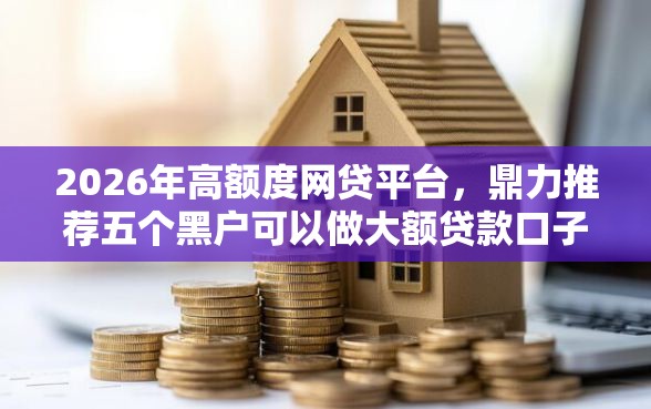 2026年高额度网贷平台，鼎力推荐五个黑户可以做大额贷款口子