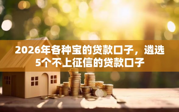 2026年各种宝的贷款口子，遴选5个不上征信的贷款口子