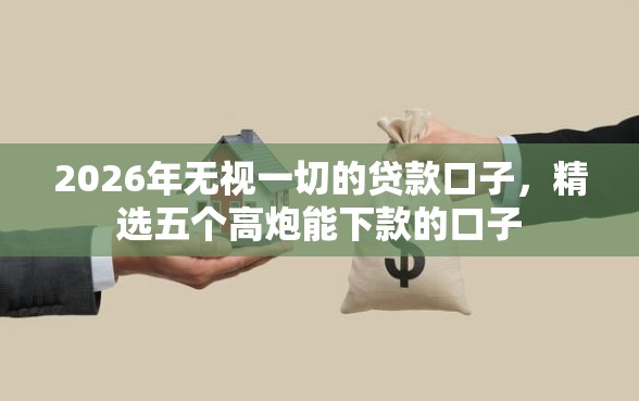 2026年无视一切的贷款口子，精选五个高炮能下款的口子