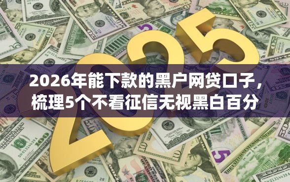 2026年能下款的黑户网贷口子，梳理5个不看征信无视黑白百分百下款app