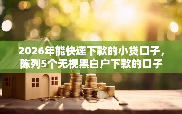 2026年能快速下款的小贷口子，陈列5个无视黑白户下款的口子
