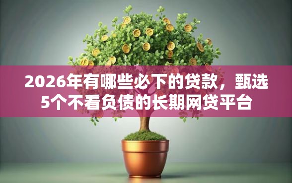 2026年有哪些必下的贷款，甄选5个不看负债的长期网贷平台