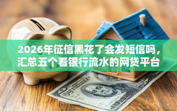 2026年征信黑花了会发短信吗，汇总五个看银行流水的网贷平台