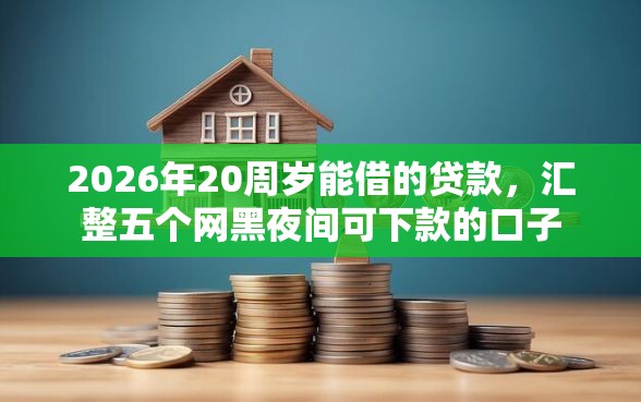 2026年20周岁能借的贷款，汇整五个网黑夜间可下款的口子
