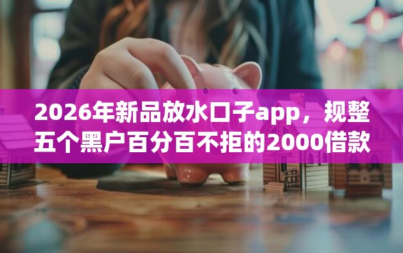 2026年新品放水口子app，规整五个黑户百分百不拒的2000借款口子