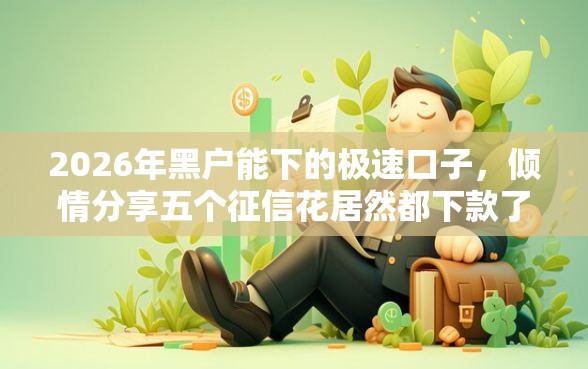 2026年黑户能下的极速口子，倾情分享五个征信花居然都下款了的软件