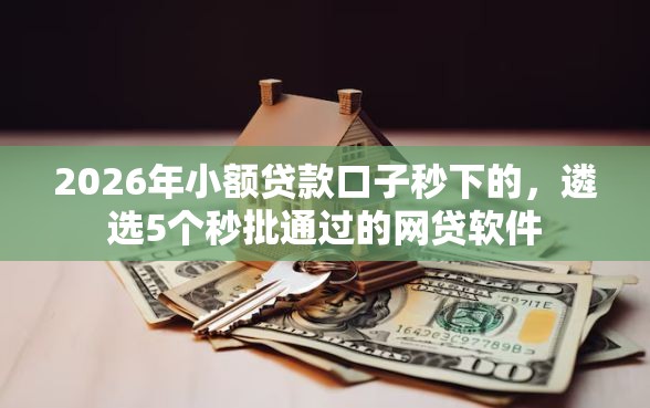2026年小额贷款口子秒下的，遴选5个秒批通过的网贷软件