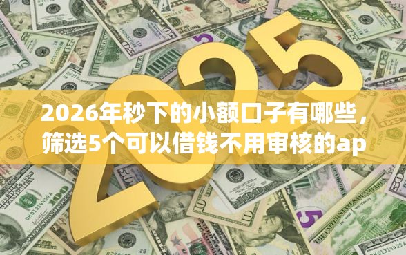 2026年秒下的小额口子有哪些，筛选5个可以借钱不用审核的app