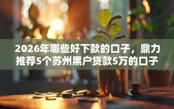 2026年哪些好下款的口子，鼎力推荐5个苏州黑户贷款5万的口子