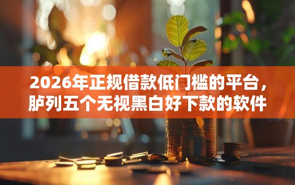 2026年正规借款低门槛的平台，胪列五个无视黑白好下款的软件