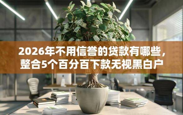 2026年不用信誉的贷款有哪些，整合5个百分百下款无视黑白户网贷口子