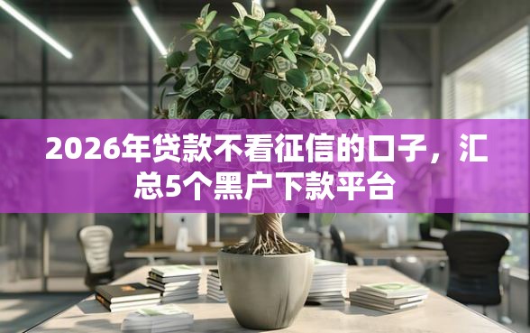 2026年贷款不看征信的口子，汇总5个黑户下款平台