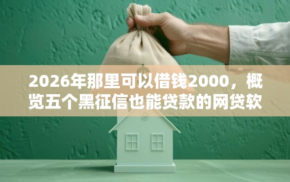 2026年那里可以借钱2000，概览五个黑征信也能贷款的网贷软件