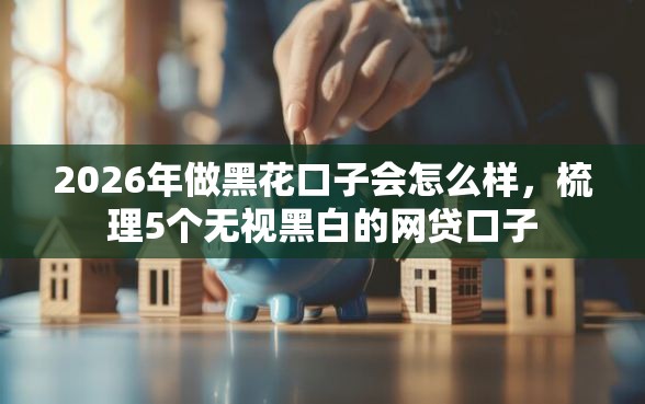 2026年做黑花口子会怎么样，梳理5个无视黑白的网贷口子