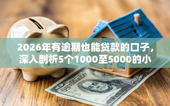 2026年有逾期也能贷款的口子，深入剖析5个1000至5000的小额贷款口子