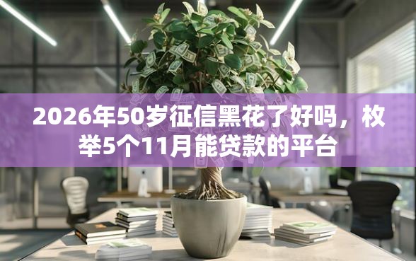 2026年50岁征信黑花了好吗，枚举5个11月能贷款的平台