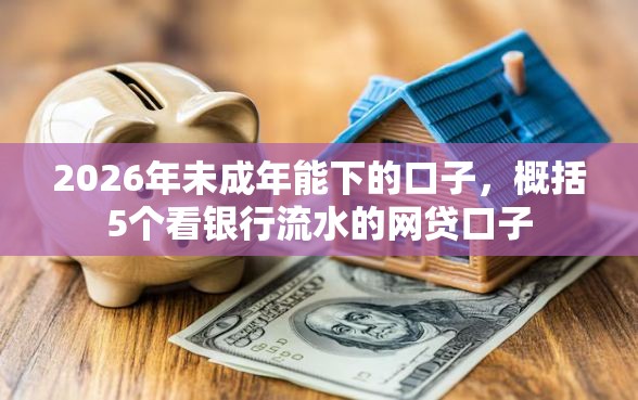 2026年未成年能下的口子，概括5个看银行流水的网贷口子
