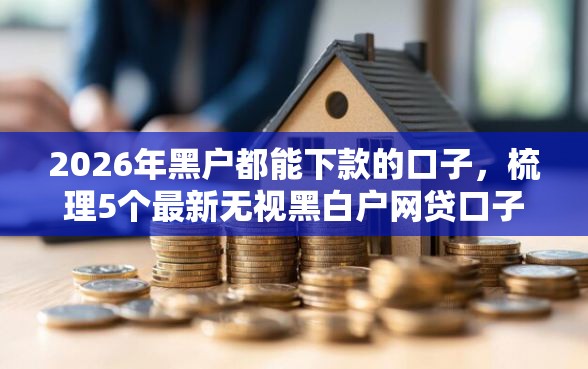 2026年黑户都能下款的口子，梳理5个最新无视黑白户网贷口子