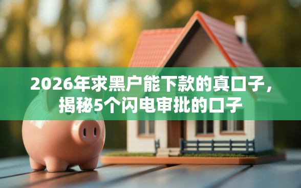 2026年求黑户能下款的真口子，揭秘5个闪电审批的口子
