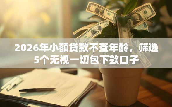2026年小额贷款不查年龄，筛选5个无视一切包下款口子