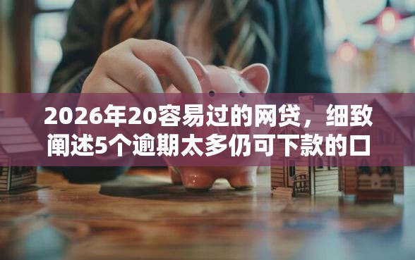 2026年20容易过的网贷，细致阐述5个逾期太多仍可下款的口子
