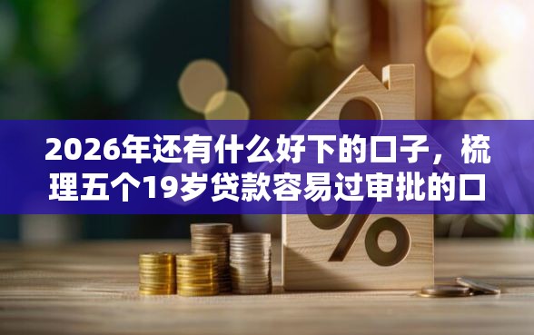 2026年还有什么好下的口子,梳理五个19岁贷款容易过审批的口子 2026年还有什么好下的口子,梳理五个19岁贷款容易过审批的口子
