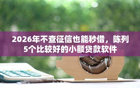 2026年不查征信也能秒借，陈列5个比较好的小额贷款软件
