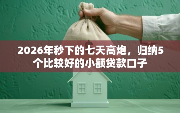 2026年秒下的七天高炮，归纳5个比较好的小额贷款口子