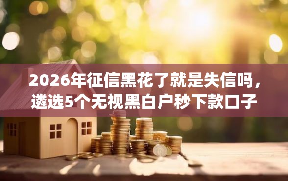 2026年征信黑花了就是失信吗，遴选5个无视黑白户秒下款口子app