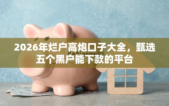 2026年烂户高炮口子大全，甄选五个黑户能下款的平台