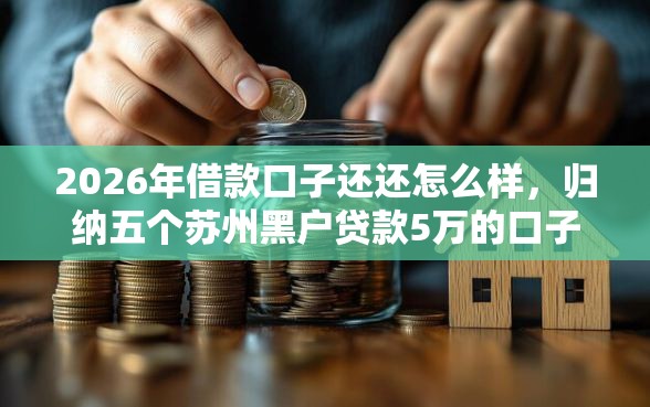 2026年借款口子还还怎么样，归纳五个苏州黑户贷款5万的口子