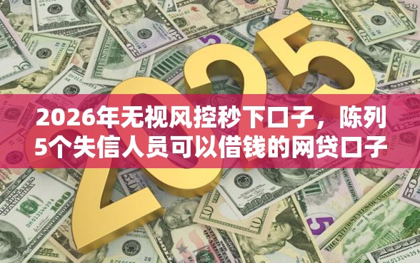 2026年无视风控秒下口子，陈列5个失信人员可以借钱的网贷口子