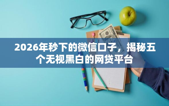 2026年秒下的微信口子，揭秘五个无视黑白的网贷平台