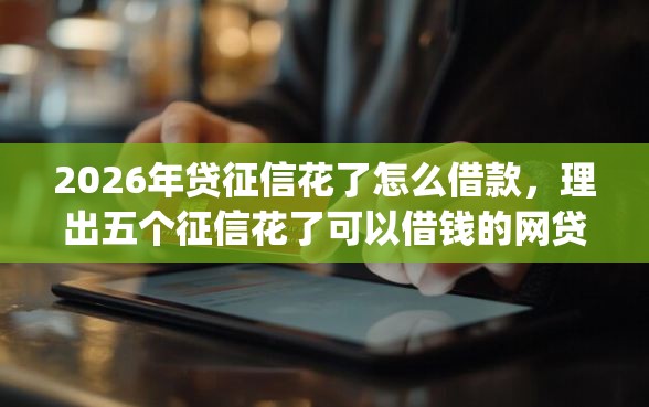 2026年贷征信花了怎么借款，理出五个征信花了可以借钱的网贷app