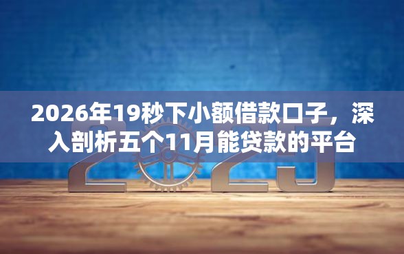 2026年19秒下小额借款口子，深入剖析五个11月能贷款的平台