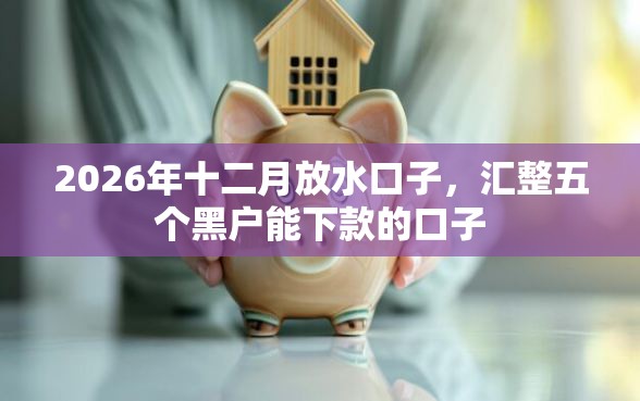 2026年十二月放水口子，汇整五个黑户能下款的口子