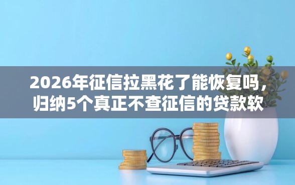 2026年征信拉黑花了能恢复吗，归纳5个真正不查征信的贷款软件